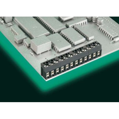 клема AK100 2DS-5.0-V (ID: 540001)