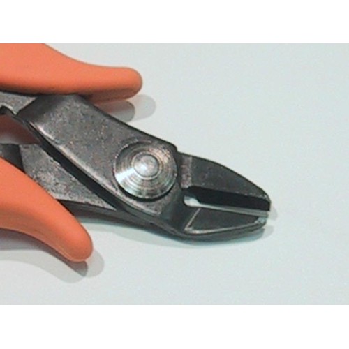 ITRR58G клеща Piergiacomi (ID: 112002)