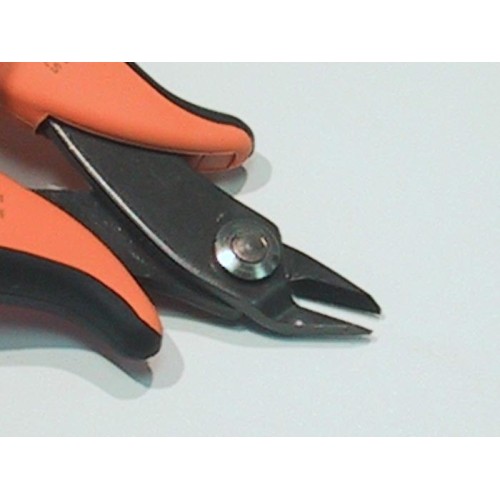 TR25B клеща Piergiacomi (ID: 112030)