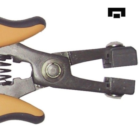 PPR5002 клеща Piergiacomi (ID: 112106)