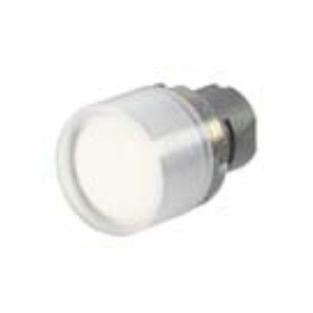 020PTCGV-кръгъл зелен гумена капачка P.B. (ID: 91732)